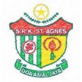 SRK St Agnes business logo picture