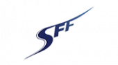 Super Fast Ferry Ventures business logo picture