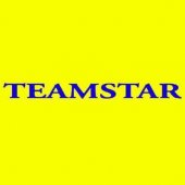 Teamstar Solutions business logo picture