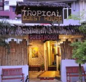 Tropical Guest House business logo picture