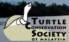 Turtle Conservation Society of Malaysia Picture