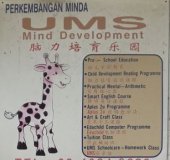 UMS MInd Development business logo picture