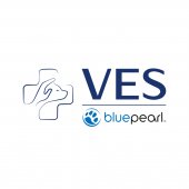 VES @ WHITLEY business logo picture