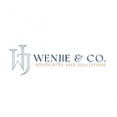 WenJie & Co. business logo picture