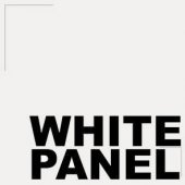 White Panel Studio business logo picture
