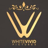 Whitevivid Pictures business logo picture