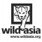 Wild Asia Picture