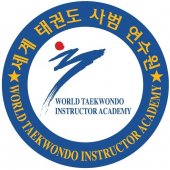 WTIA Taekwondo business logo picture