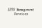 LTTS Management Services picture