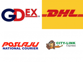 Basic and Extra Domestic Delivery Services Provided by Courier Services Company in Malaysia  picture