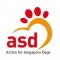 Action for Singapore Dogs(ASD) profile picture