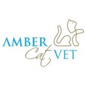 Amber Cat Vet Pte Ltd business logo picture