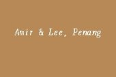 Amir & Lee business logo picture