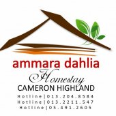 Ammara Dahlia Homestay-Cameron Highlands business logo picture