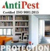 AntiPest Management Services  business logo picture