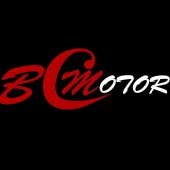 BCM MOTOR business logo picture