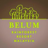 Belum Rainforest Resort business logo picture