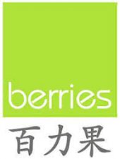 Berries World of Learning School Hougang (N1-K2) business logo picture