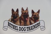 Bethel Dog Trainers business logo picture