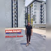 Bina Paint  business logo picture