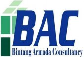 Bintang Armada Consultancy (M)  business logo picture