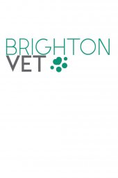 Brighton Vet Care (Katong) business logo picture
