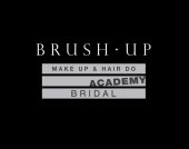 Brush Up business logo picture