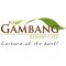 Bukit Gambang Resort City profile picture