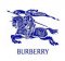 Burberry Paragon profile picture