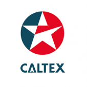 Caltex Pump My Day business logo picture