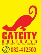 Cat City Holidays business logo picture