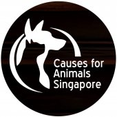 Causes For Animals business logo picture