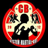 Cb system martial art business logo picture