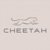 Cheetah Aeon Seremban 2 business logo picture
