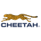 Cheetah profile picture