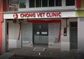 Chong Veterinary Clinic business logo picture