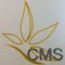 CMS Advisory Services Picture