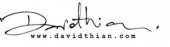 David Thian business logo picture