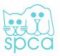 DBKL-SPCA Spay-Neuter Clinic Picture