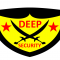 Deep Security Services profile picture