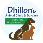Dhillon'S Animal Clinic & Surgery business logo picture