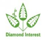 Diamond Interest HQ business logo picture