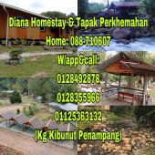Diana Homestay, Penampang business logo picture