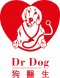 Dr Dog Malaysia Picture