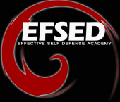 EFSED Effective Self Defense Academy business logo picture