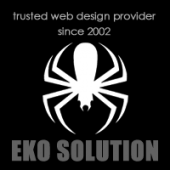 Eko Solutions business logo picture