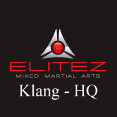 Elitez MMA Fitness Academy business logo picture
