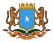EMBASSY OF THE FEDERAL REPUBLIC OF SOMALIA Picture