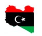 EMBASSY OF THE STATE OF LIBYA business logo picture