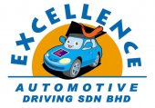 Excellence Automotive Driving business logo picture